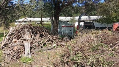 Centro de chipeado en Mendiolaza