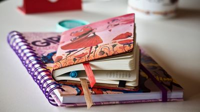 Qué hacemos hasta el 17 de agosto en Mendiolaza