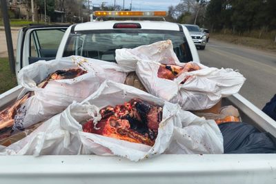 Decomisaron 370 kilos de carne sin cadena de frío en Mendiolaza